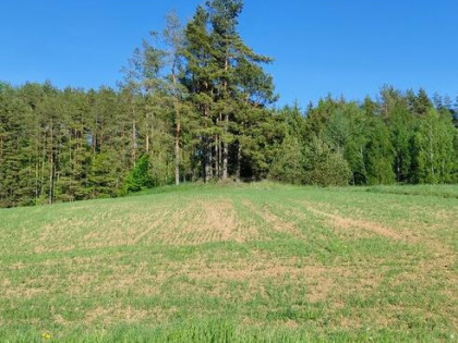 Sprzedam dzialke budowlana