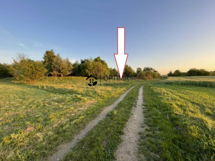 Działka rolna Dąbrowa gm. Sianów