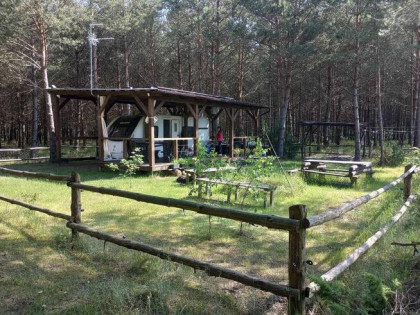 Sprzedam działkę 3000 m2 w kompleksie działek leśnych.