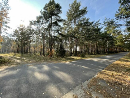 Działki budowlane | las + zalew | Młyniska | 115 zł/m²