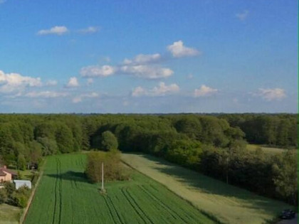 NA SPRZEDAŻ DZIAŁKA JÓZEFOWO POW SŁUPECKI