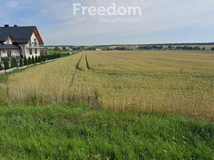 Działka budowlana 2463 m² – Wieprzów Ordynacki