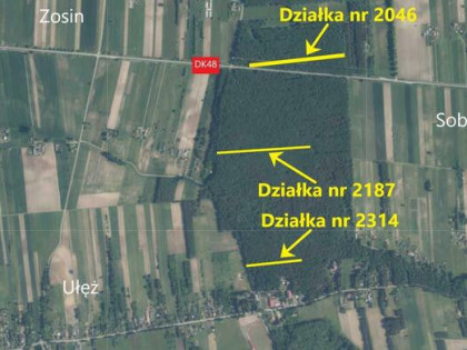 Działka leśna Ułęż