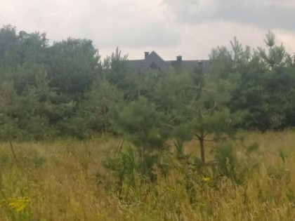 Okazja! Wola starogrodzka 1,4 ha 50 km od warszawy
