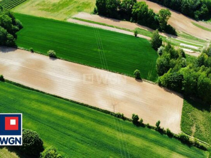 Działka rolna Celejów gm. Wąwolnica, Celejów