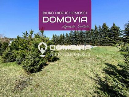 Dom Kosobudy gm. Zwierzyniec