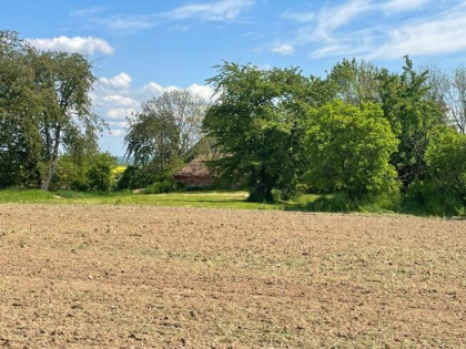 Działka budowlana Dobroszów gm. Chojnów,