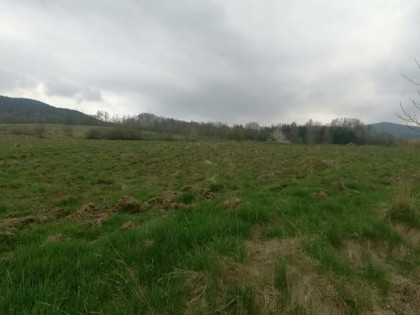 Wiśniowa -Działka budowlana 20 arów