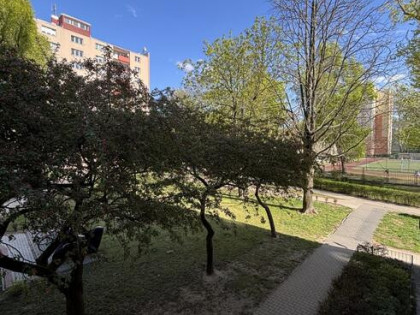Wynajmę lokal mieszkalny
