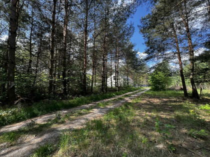 Działka 1500 m2 w leśniej miejscowości Wężyk k.Grodziska Maz