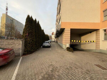 Lokal Kielce