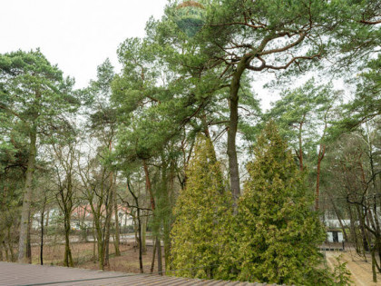 Milanówek: apartament w willi z ogrodem