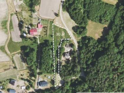 Działka przy lesie, 30 ar, Gołęczyna, gm. Pilzno