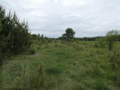 Działka rolna Słubica-Wieś gm. Żabia Wola,