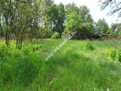 ⭐⭐⭐⭐⭐ Dwie działki 1900 + 3600m2 ⭐⭐⭐⭐⭐