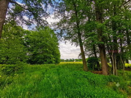 Działka budowlana Kałęczyn gm. Grodzisk Mazowiecki,