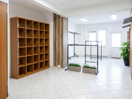 Lokal na wynajem funkcjonalny 110m2