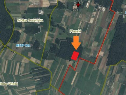 Działka leśna w jednym kawałku na sprzedaż – gm. Mordy
