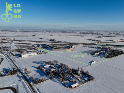 Działka rolna Kaszewy Dworne gm. Krzyżanów