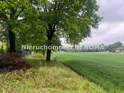 Działka Jastrzębie-Zdrój Borynia, Plebiscytowa