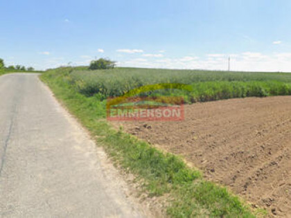 Działka rolna w Nowym Brzesku 1ha w jednym kawałku