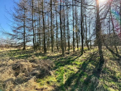 Działka budowlana 5436 m² Łuków Śląski