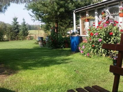 Działka budowlana lub siedlisko z potencjałem - Wólka