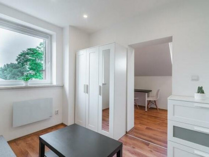Kawalerka, pet-friendly - Chojnickiego 4, Centrum