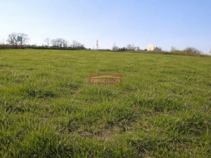 Działka komercyjno-bud. z lasem - 2,44 ha Libertów