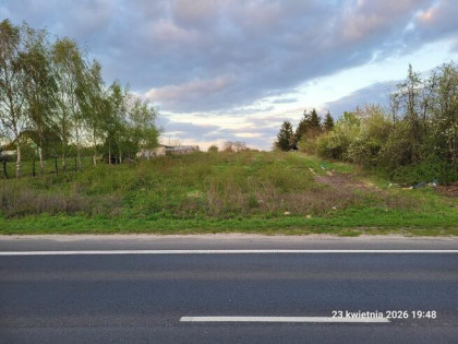 Lubin 10,8 ar (40x27m) sprzedam