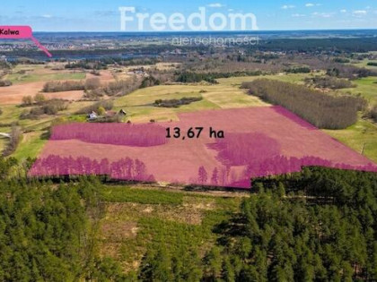 Duża działka 13,67 ha w malowniczej miejscowości
