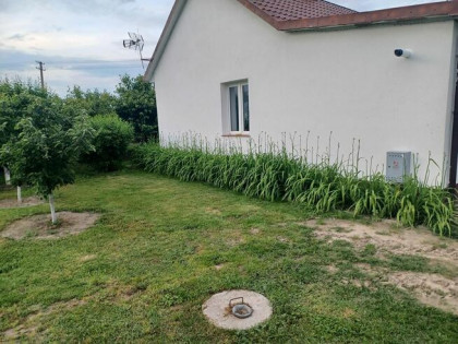 Sprzedam siedlisko