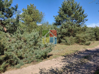 Zadrzewiona działki pod zabudowę 1,2799 ha