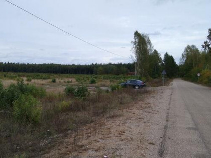 Górny Gród - Puszcza Bialowieska , dzalka 23,2674
