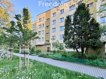 3 pokoje Świetna lokalizacja i Ogromny potencjał