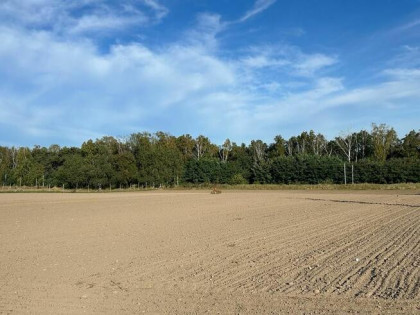Działka inwestycyjna Biskupice gm. Pobiedziska,