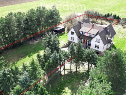 Bliźniak z potencjałem i stawem – Laseczno