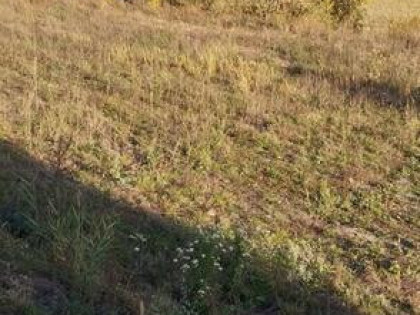 Działka budowlana