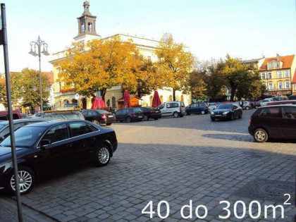 Lokale biuro handel usługi od 40 m2 do 300 m2 Ostrów Centrum