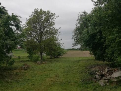 Działka siedliskowa