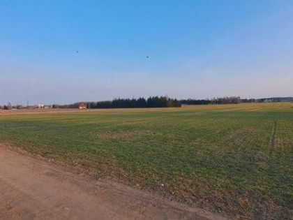 Działka budowlana Przeździatka-Kolonia gm. Sokołów Podlaski