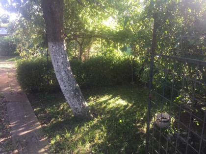 Działka ROD OSOBOWICE ul. Krotoszyńska
