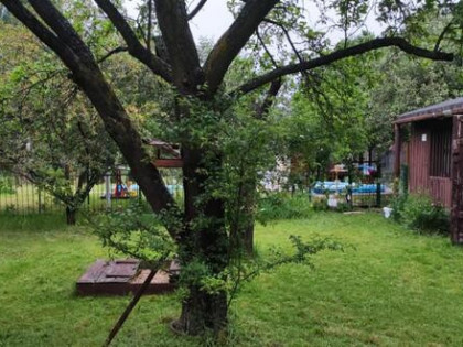Ogródek działkowy 425 mkw przy ul. Osmańczyka ROD LOTNISKO