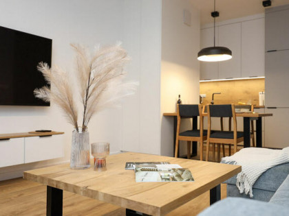 2-pok klimatyzowane w centrum, miejsce na home office