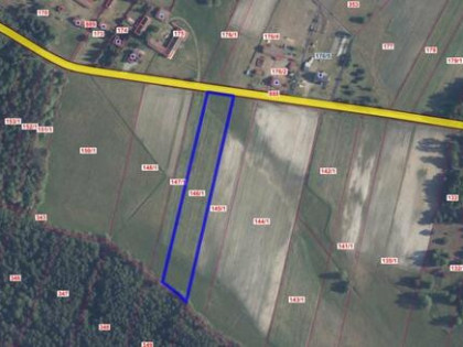 Działka rekreacyjna Kluczewsko Stanowiska