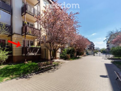 2pokojowe mieszkanie na parterze z balkonem
