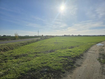 Działka budowlana o powierzchni 1130 m2 cena 71 000 zł
