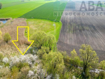 Działka rolna przy lesie, gm. Kiszkowo
