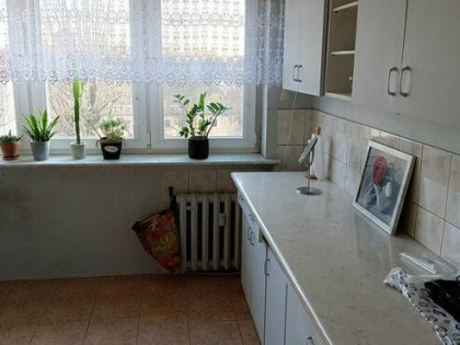 OKAZJA Przestronne 3 pokoje z balkonem – 56 m² Jaworzno