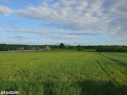 DZIAŁKI BUDOWLANE -MYŚ/LINÓW 2,7 HA/- MPZP INWESTYCJA +DOM